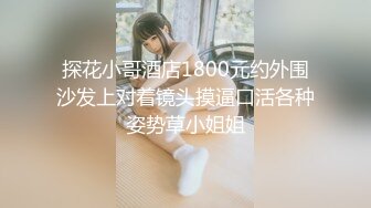 探花小哥酒店1800元约外围沙发上对着镜头摸逼口活各种姿势草小姐姐