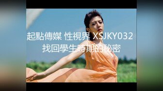 星之迟迟 2023年12月计划C – 明日奈同人女仆