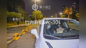 竹内麻耶vec-301