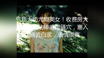 气质大奶尤物美女！收费房大尺度！震动棒磨蹭骚穴，塞入猛捅流白浆，表情很爽