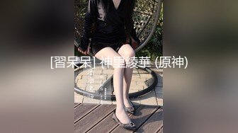 麻豆传媒 MDHT-0005《奇淫旅社》肉棒和小穴的交谊聚会-宋南伊