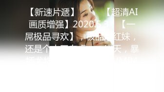 2024年11月份（1108）更新國產麻豆（MD）系列原版