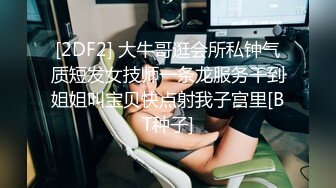 女教师搭上痴汉电车