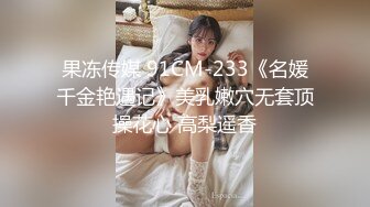 空降女优『宁洋子』邂逅麻豆女神体验至尊极致的享受