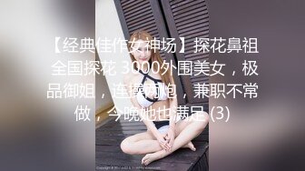 【三级】《巨乳女仆的诱惑》