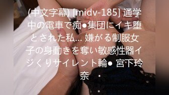 【私密群第29季】高端私密群内部福利29美女如云