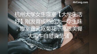 【AI换脸视频】名井南[Mina]空姐黑丝诱惑