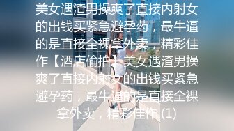 麻豆传媒-寂寞调酒站 单身酒吧调情性爱 纹身乱战 麻豆女神韩宝儿