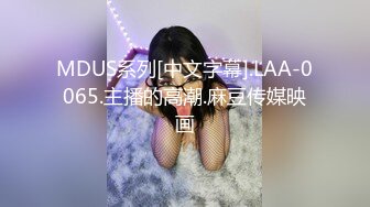 [MEKO-195] 新「おばさんレンタル」サービス03 中出しセックスまでやらせてくれると評判の家事代行サービスにもっと過激な要求をしてみた