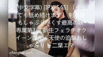 国产麻豆AV 蜜桃影像传媒 PM031 勾引锁匠 乱伦亲兄 张曼青