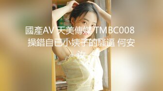 國產AV 天美傳媒 TMBC008 操錯自已小姨子的騷逼 何安汝