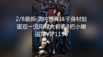 白富美的淫荡生活，学心理学的女大学生【karinnoracam】VIP订阅作品（二）海边游玩，极品大奶子