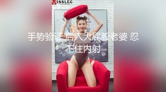 Mr.S - 从床上干到床下 女上位干到老汉推车 妹纸高潮了2次， 可惜我还没有发射 休息时把兄弟 又叫过来 当兄弟进来 看着他 插入时反而 感官更刺激些