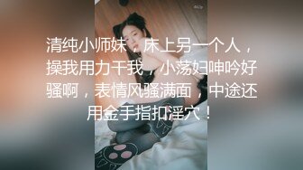 果冻传媒-离婚谈判朋友娇妻逆推诱惑-张子瑜