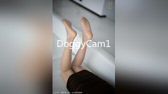 DoggyCam1