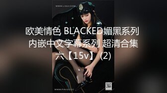 欧美情色 BLACKED媚黑系列 内嵌中文字幕系列 超清合集六【15v】 (2)