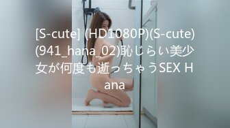 [S-cute] (HD1080P)(S-cute)(941_hana_02)恥じらい美少女が何度も逝っちゃうSEX Hana